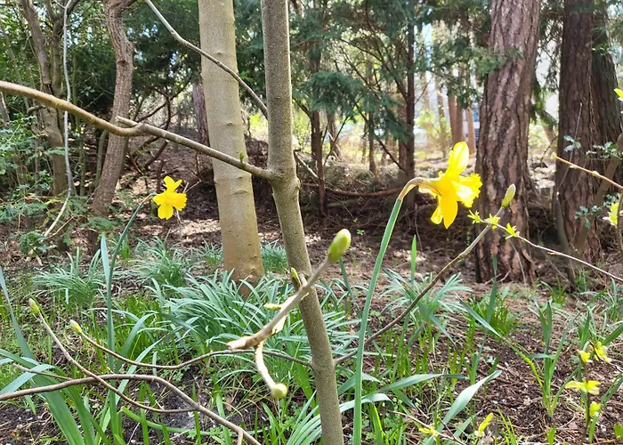 Casa vacanze Wiking Sankt Peter-Ording